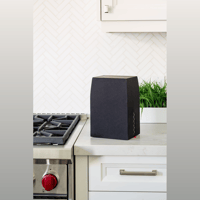 MartinLogan Forte variant 9