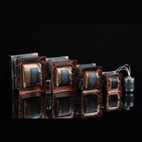 SW1x Audio Transformers variant 13