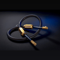 Siltech Cables Master Crown Digital variant 2