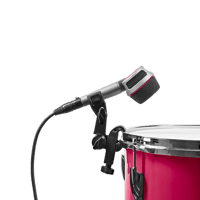 Austrian Audio DPH12 variant 3