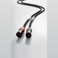 Jorma Audio Trinity variant 8