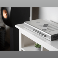 Schiit Audio Loki Max F variant 9