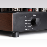 Mastersound Evolution 845 variant 5