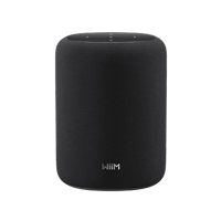 WiiM Sound Lite variant 1