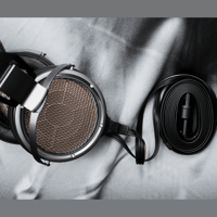 Stax - International SR-X9000 Electrostatic Earspeaker (Flagship Model) variant 9