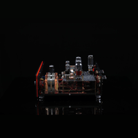 SW1x AMP II “Electra” Integrated Amplifier variant 4