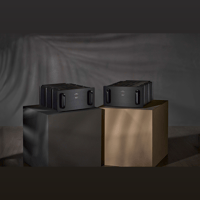 Lamm Industries M2.2 Amplifier variant 5