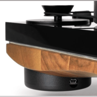 Gold Note giglio-2 variant 5