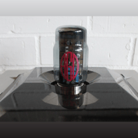 AGD Production Vivace variant 14