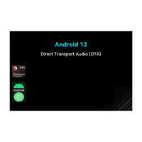 Cayin N6iii variant 24