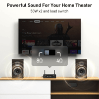 Arylic H50 Wireless Stereo Amplifier variant 4