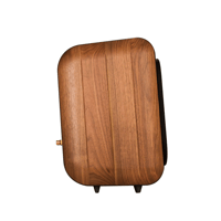 Chario Aviator Ghibli variant 1