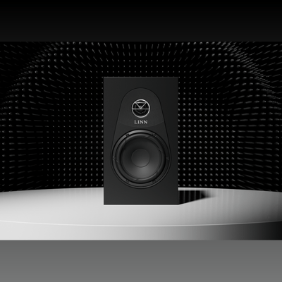 Linn 119