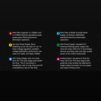 Cayin iDAC-8 variant 10