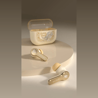 Tanchjim Mino ASANO-TANCH edition variant 5