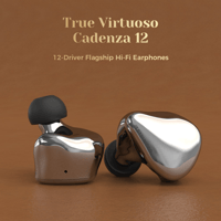 LETSHUOER Cadenza 12 IEM BA & DA Hybrid Drivers In-Ear Monitor HiFi Earphone variant 2