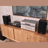 Yamaha TT-S303 variant 7