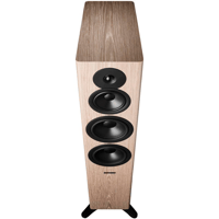 Dynaudio Evoke 50 variant 14