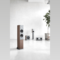 Audiovector R Sub variant 11