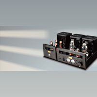 Cayin HA-300MK2 variant 12