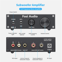 Fosi Audio Fosi Audio M03 Subwoofer Mono Amplifier variant 2