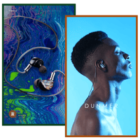 Tipsy Dunmer Pro variant 8