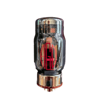 AGD Production AGD GaNTube 88KT MKIII variant 1