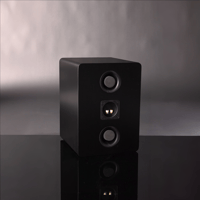 Hsu Research CCB-8 Speaker variant 4