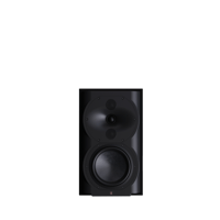 Perlisten R4b variant 1