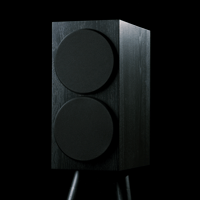 Buchardt Audio E50 variant 27
