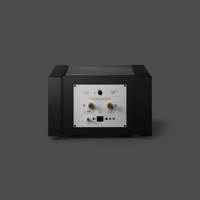 Ubiq AudioLab UBIQUITOUS MONO EXTREME variant 4