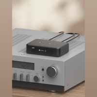 Arylic LP10 AirPlay 2 and Google Cast Music Streamer variant 5