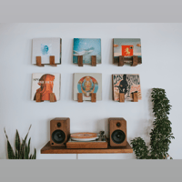 Andover Flip Record Display Shelf variant 5