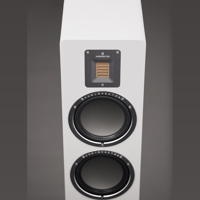 Audiovector QR 7 SE variant 6