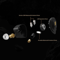 Elysian Acoustic Labs PILGRIM:NOIR variant 6