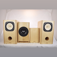 Blumenstein Audio Cain & Cain Abby II 6.5" Monitors variant 8