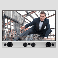 Totem Acoustic Tribe Trio variant 2