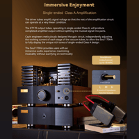 Cayin Soul 170HA variant 8