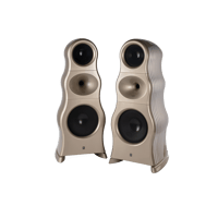 Zingali Acoustics Evo Client 3.18 variant 1