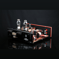 SW1x AMP IV “Aura” Integrated Amplifier variant 7