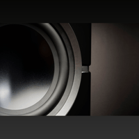 MartinLogan Dynamo 10 variant 25