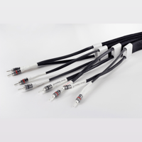Tellurium Q Silver Diamond Speaker Cable variant 6