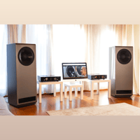 Daniel Hertz Anton variant 1