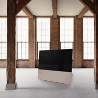 Canvas CANVAS 65 variant 25