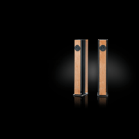 Brodmann VC 1 variant 1