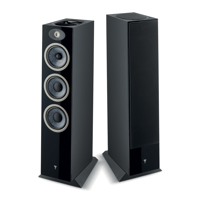 Focal Theva N°3-D variant 5