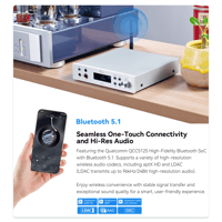 Cayin BTC-2 variant 3