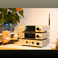 Cayin iDAC-8 variant 1