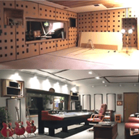 ASC WallDamp variant 6