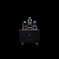 SW1x MPA V “Hercules” SE Mono Power Amplifier variant 1